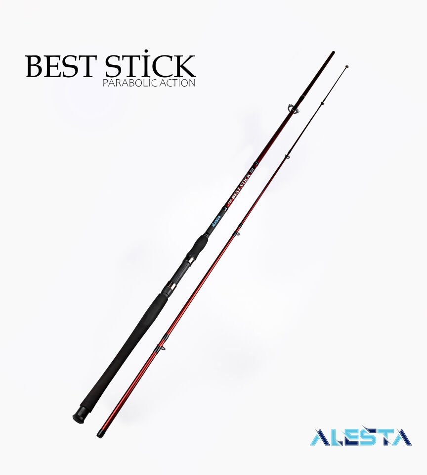 BEST STICK 180 CM 50-100G 2P
