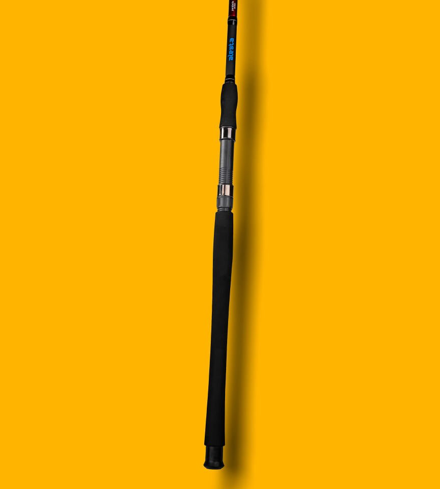 BEST STICK 180 CM 50-100G 2P