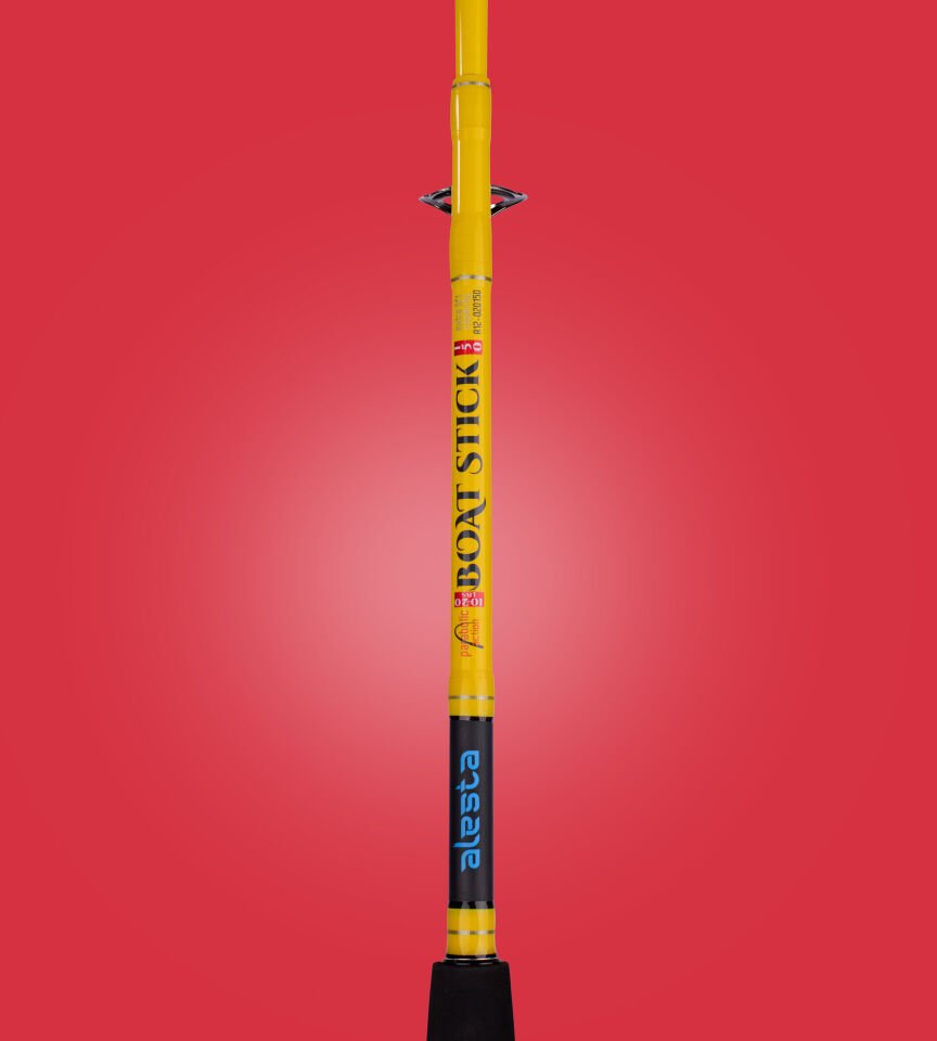 BOAT STICK 150 CM 10-20 LBS 2P BOT