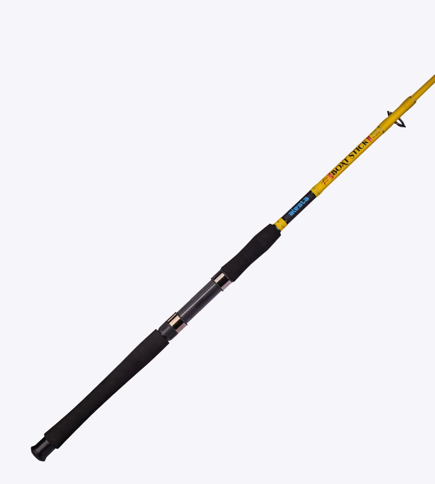 BOAT STICK 165 CM 15-25 LBS 2P BOT