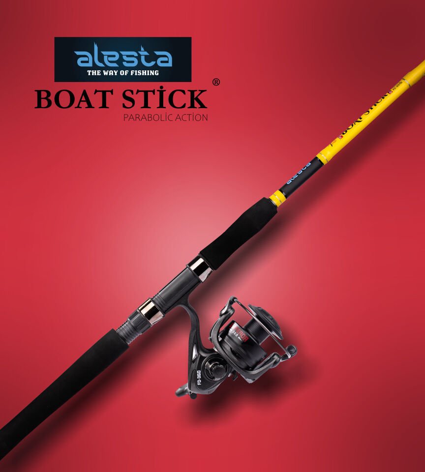 BOAT STICK 165 CM 15-25 LBS 2P BOT