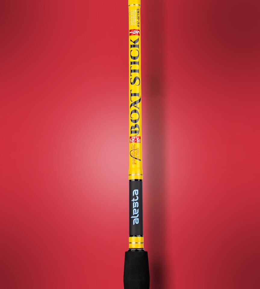BOAT STICK 165 CM 15-25 LBS 2P BOT