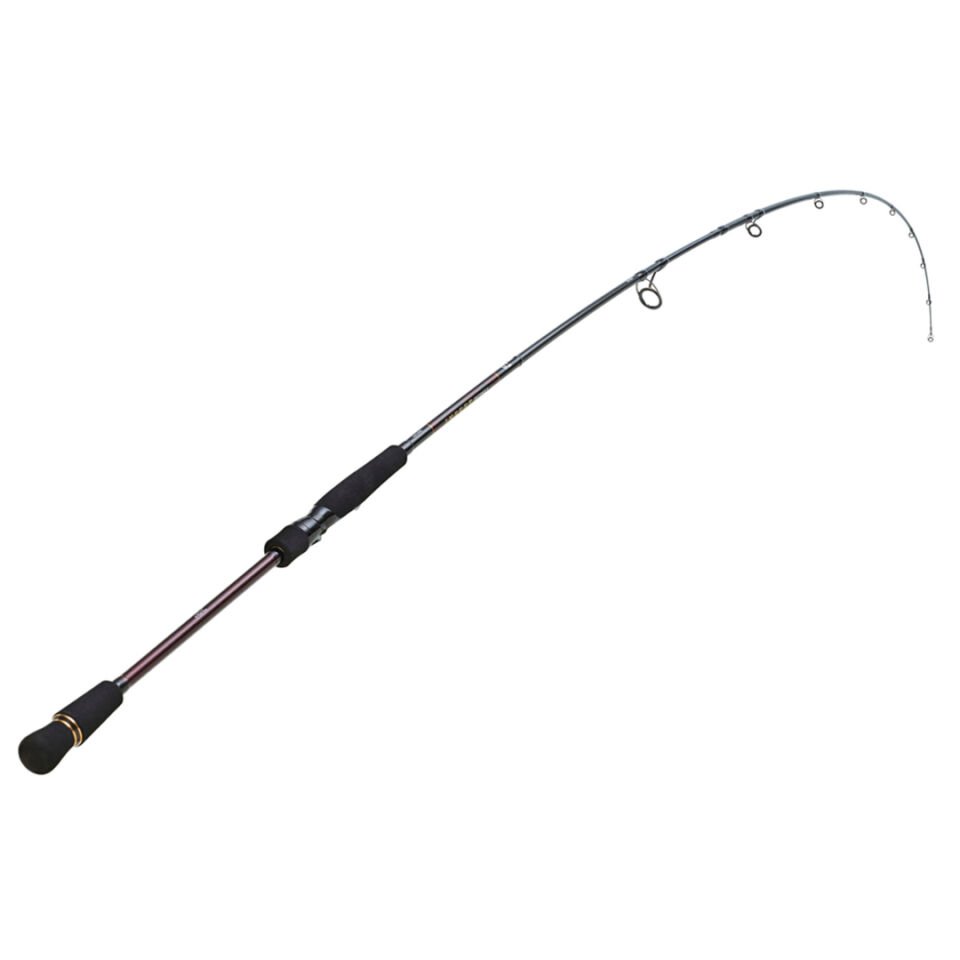 DAIWA INFEET SEABASS  3.05M, 14-56GR, 2P KAMIŞ