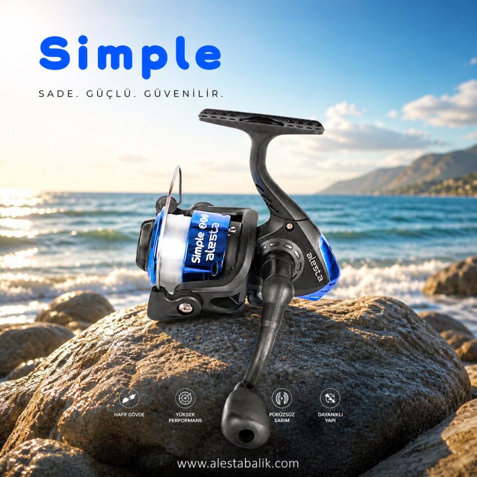 SIMPLE FD-200 1BB MAVİ MİSİNALI