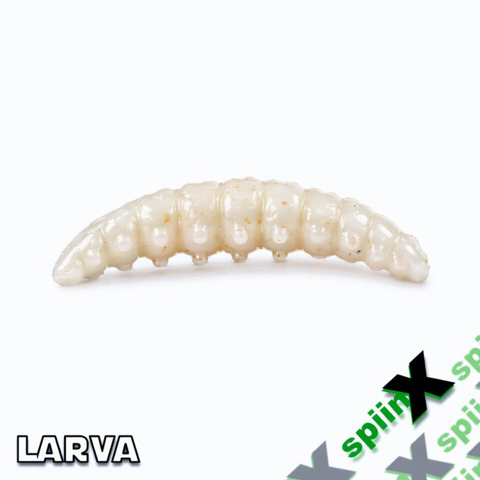 SPIINX LARVA 35MM 14P PEYNİR JANJAN 41