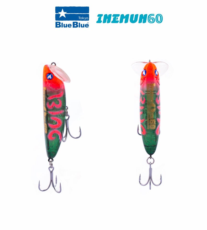 INEMUN 60 6G #07