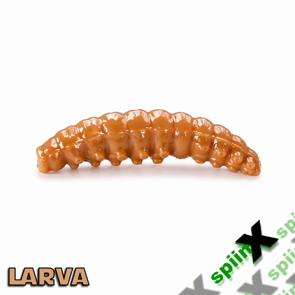 SPIINX LARVA 35MM 14P PEYNİR COFFEE 24