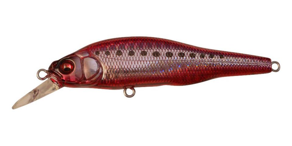 Megabass X-80 SW GG HEAT IWASHI