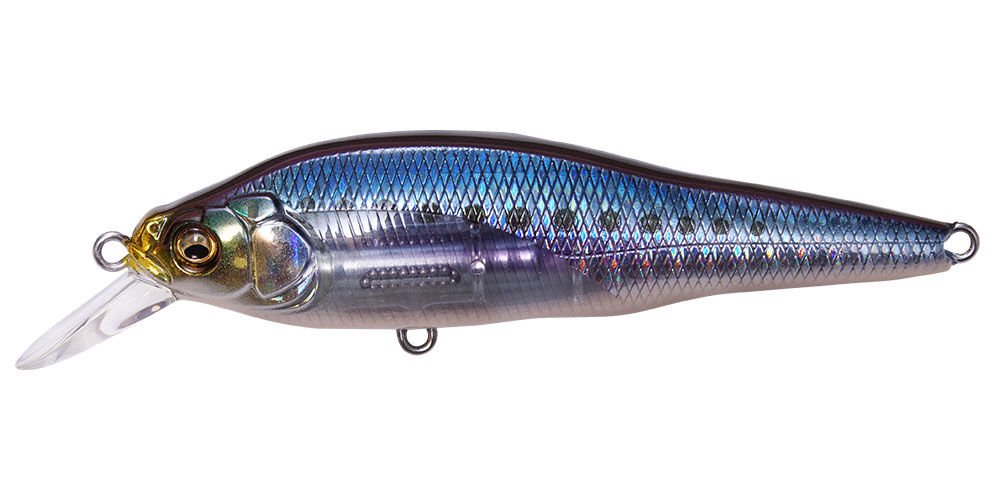 Megabass X-80 SW LBO GG IWASHI