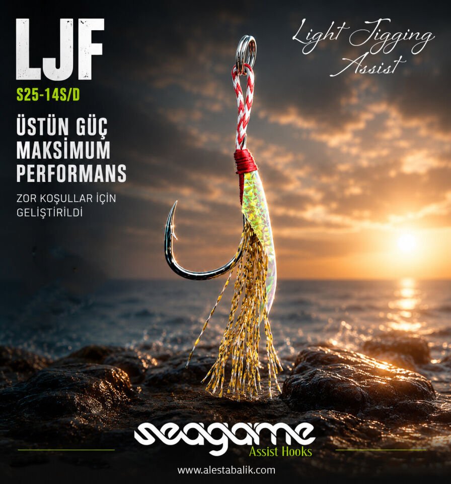 LIGHT JIGGING FLASH LJF SINGLE 4P #8