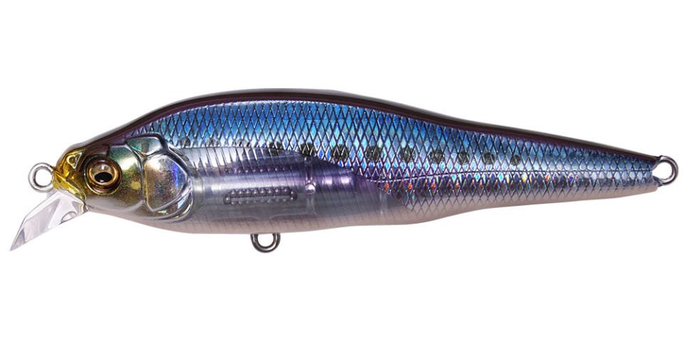 Megabass X-80 SW LBO Shallow GG IWASHI