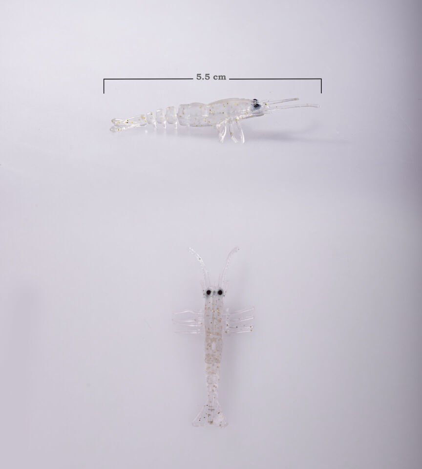 BEZLİ KARİDES 55 ŞEFFAF SİM 30P