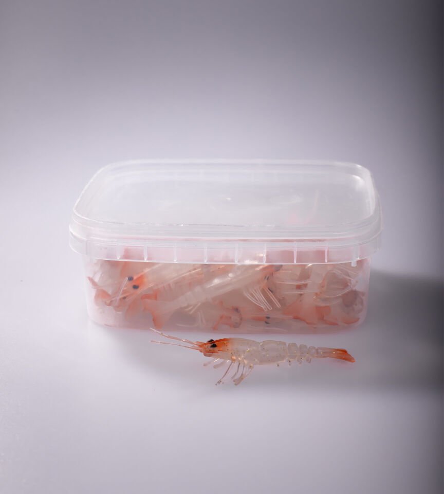 BEZLİ KARİDES 55 KIRMIZI KAFA ŞEFFAF SİM 30P