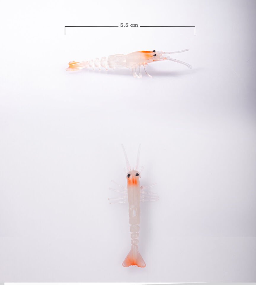 BEZLİ KARİDES 55 RH GLOW 30P