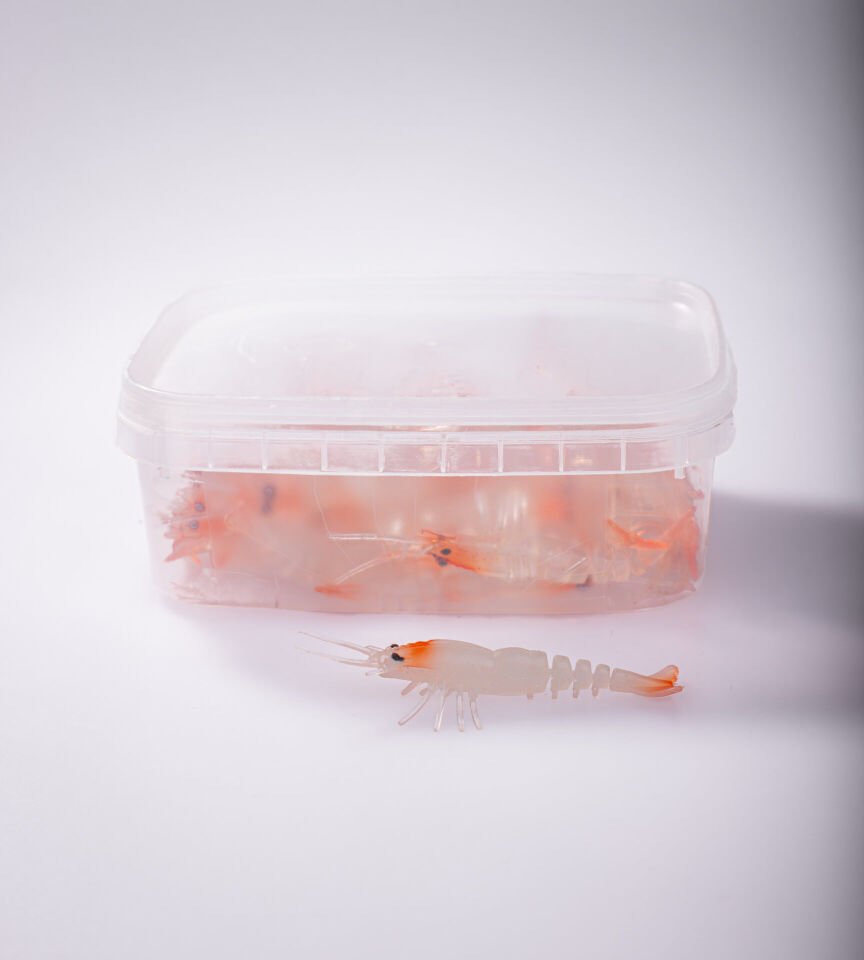 BEZLİ KARİDES 55 RH GLOW 30P