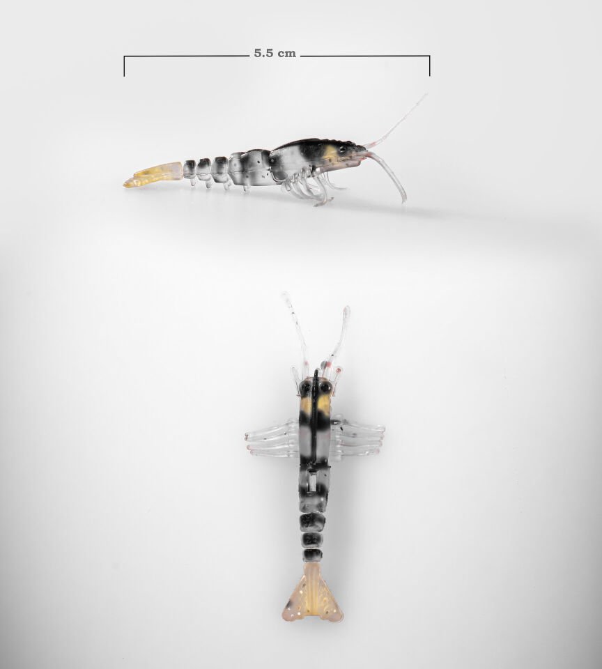 BEZLİ KARİDES 55 SARI/ŞEFFAF/SİYAH 30P