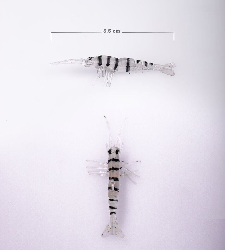 BEZLİ KARİDES 55 ŞEFFAF/SİYAH 30P