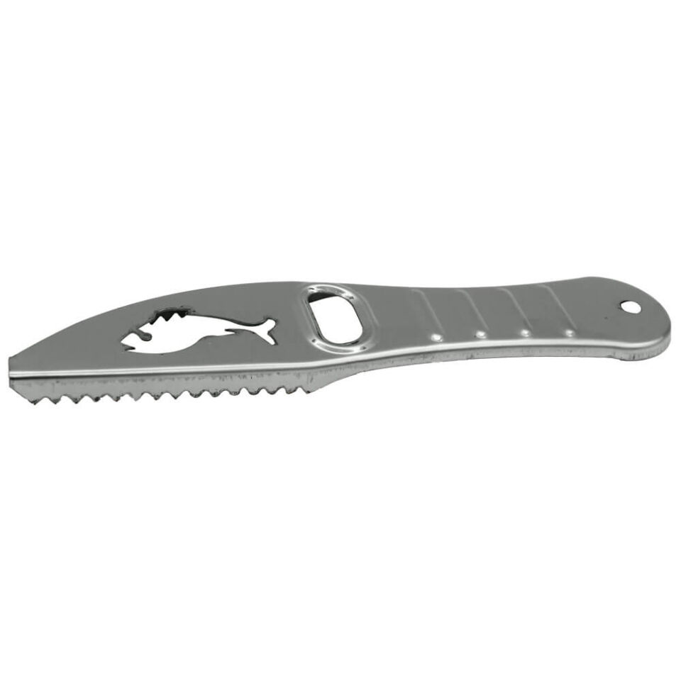 Albastar Paslanmaz Inox Krom Balık Pulu Temizleyici SILVER