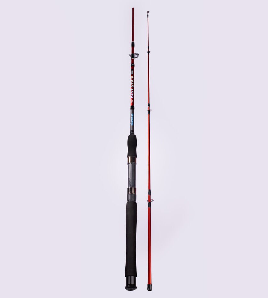 BEST STICK 210 CM 10-30G 2P