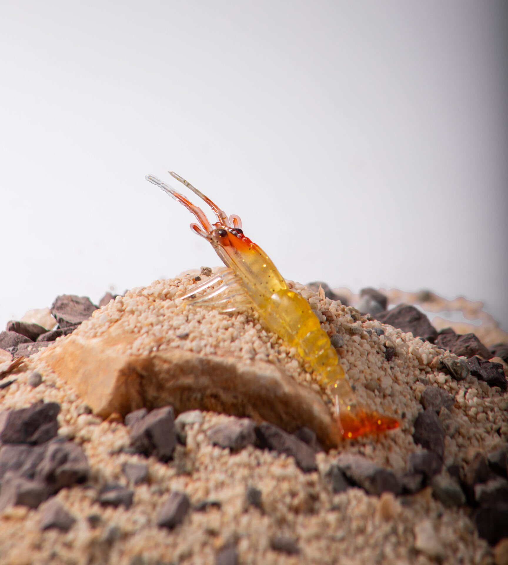 BEZLİ KARİDES 55 TURUNCU/SARI/ŞEFFAF 30P