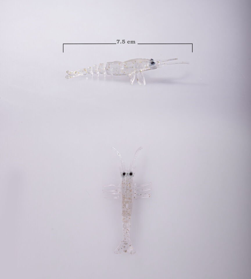 BEZLİ KARİDES 75 ŞEFFAF SİM 20P