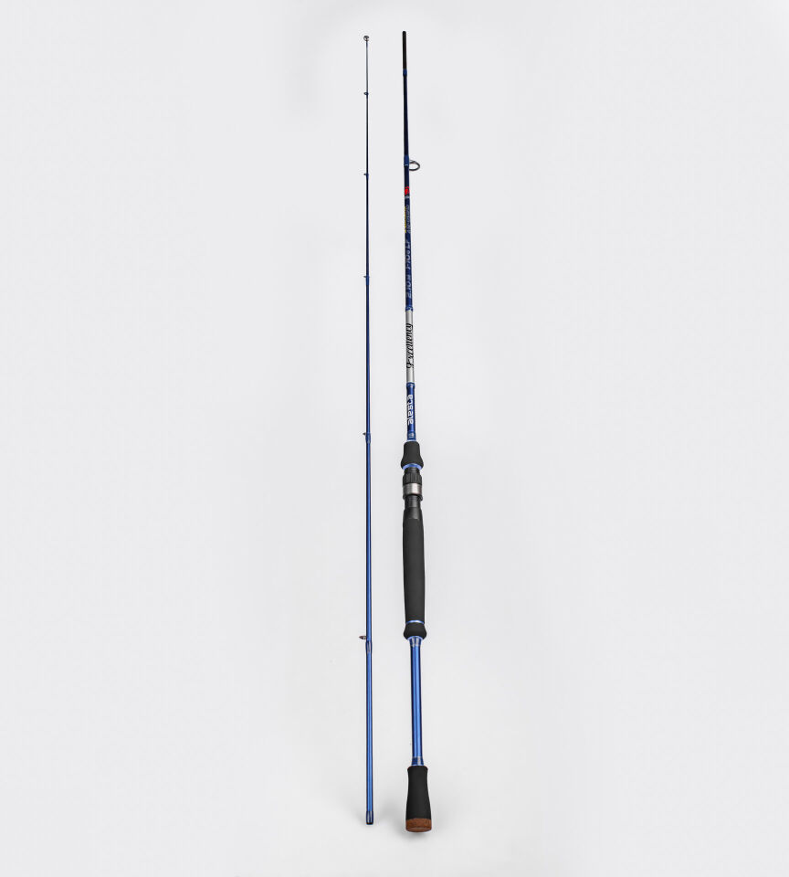 EXCELLENCY 240 CM 8-32G MF 2P KARBON