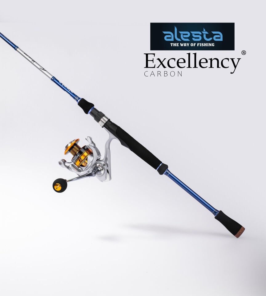 EXCELLENCY 240 CM 8-32G MF 2P KARBON