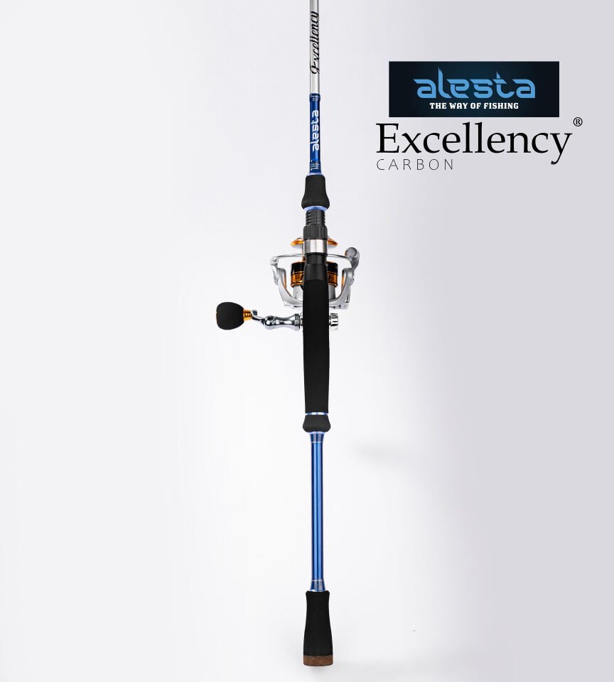 EXCELLENCY 240 CM 8-32G MF 2P KARBON