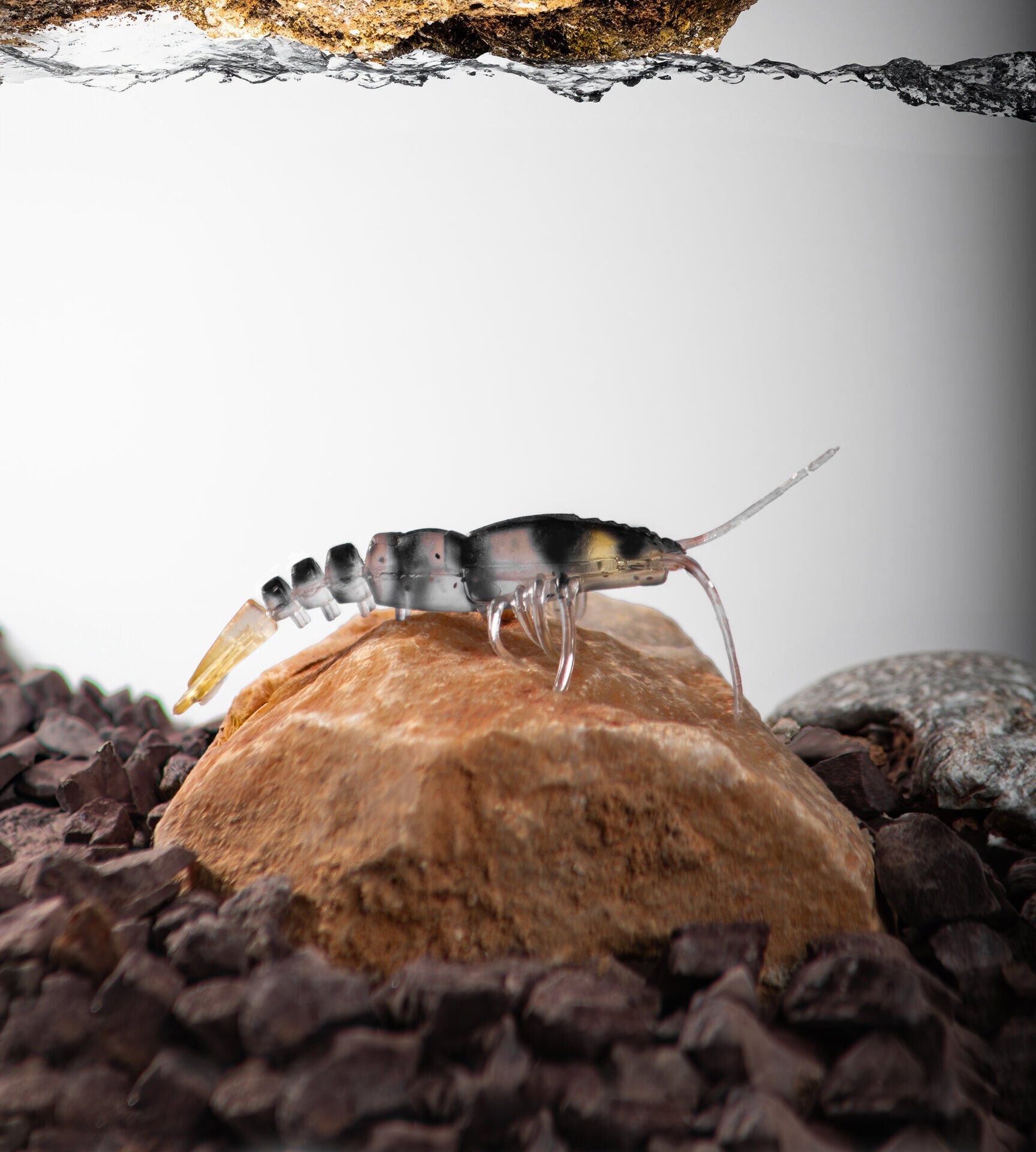 BEZLİ KARİDES 75 SARI/ŞEFFAF/SİYAH 20P