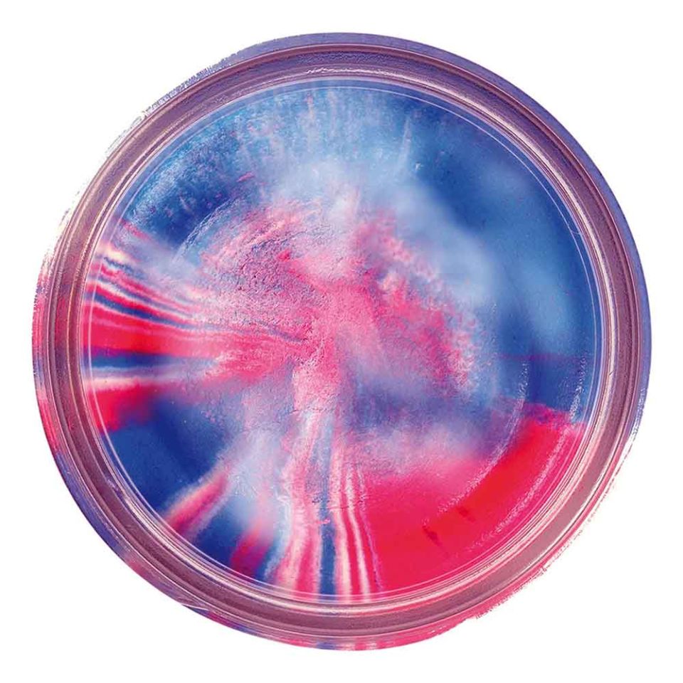 Berkley Powerbait Natural Glitter Trout Bait Garlic Sahte Yemi