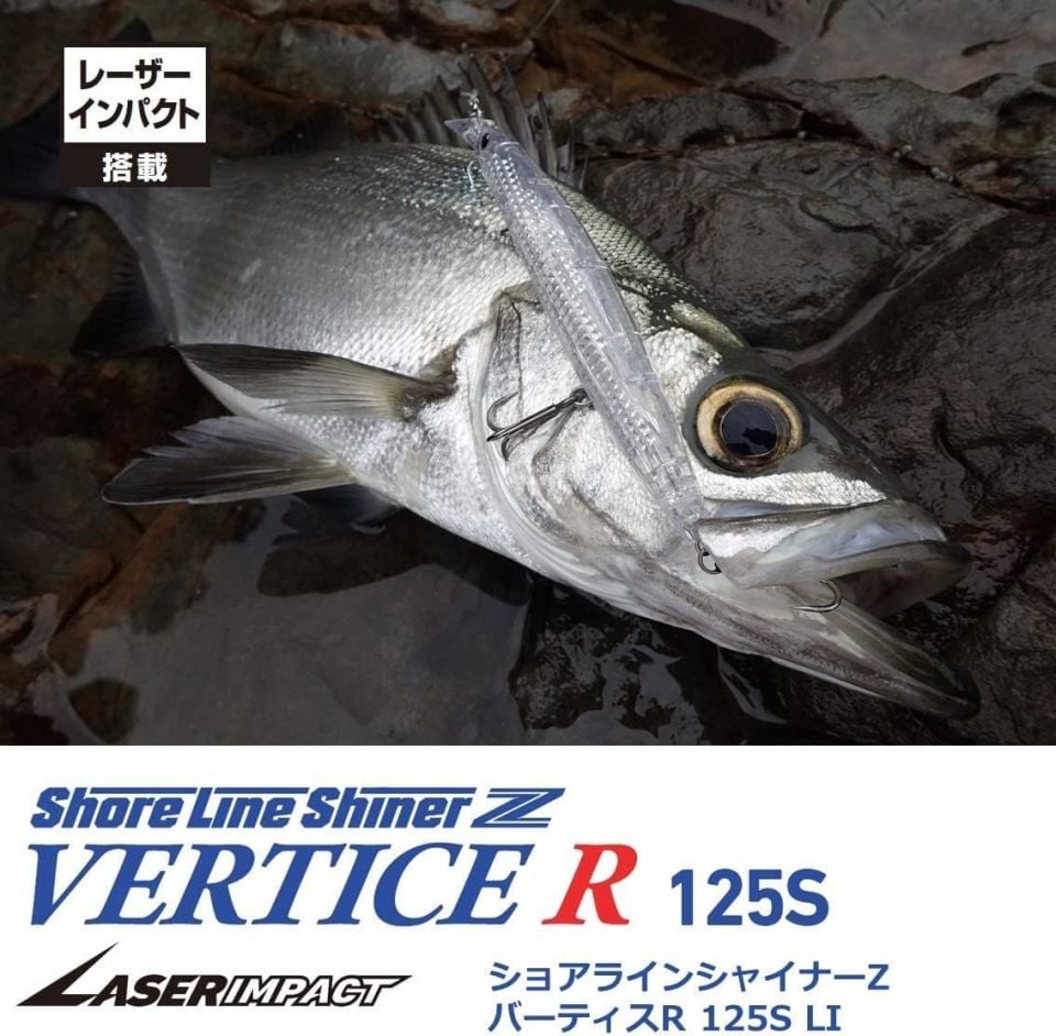 Daiwa Shore Line Shiner Z Vertice R Laser Impact 125S - LI  Bull Pin Sardine