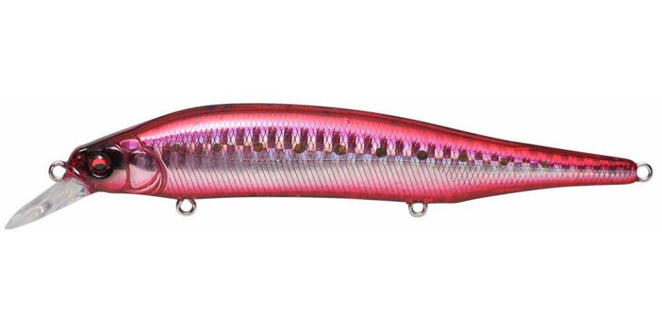 Megabass X-80 Magnum GG HEAT IWASHI