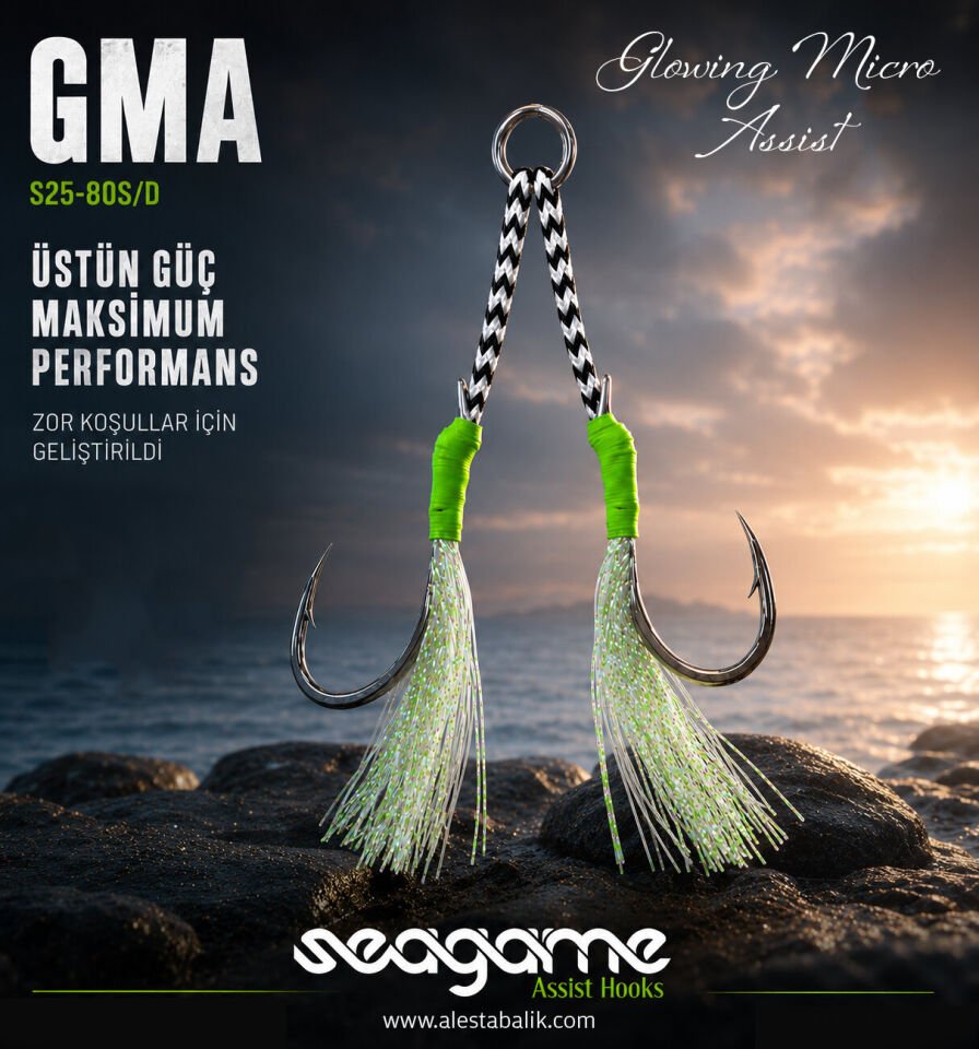 GLOWING MICRO ASSIST GMA DOUBLE 2P #12