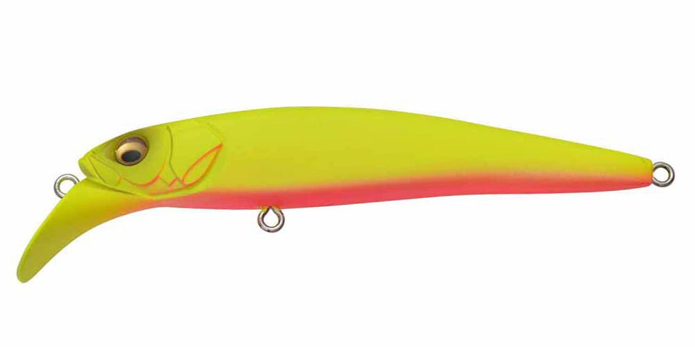 Megabass Halibut MAT CHART PINK BELLY