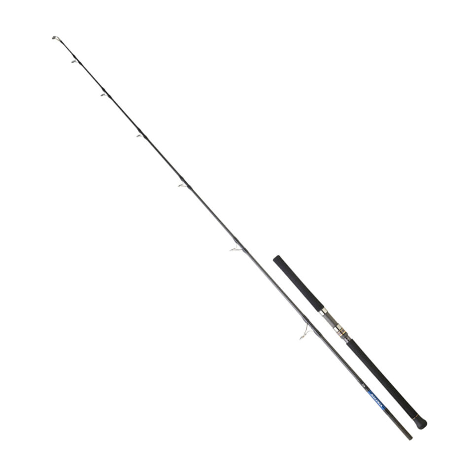 DAIWA SALTIGA GT CF 2.59M, 100-180GR, 1+1P JIG KAMIŞ