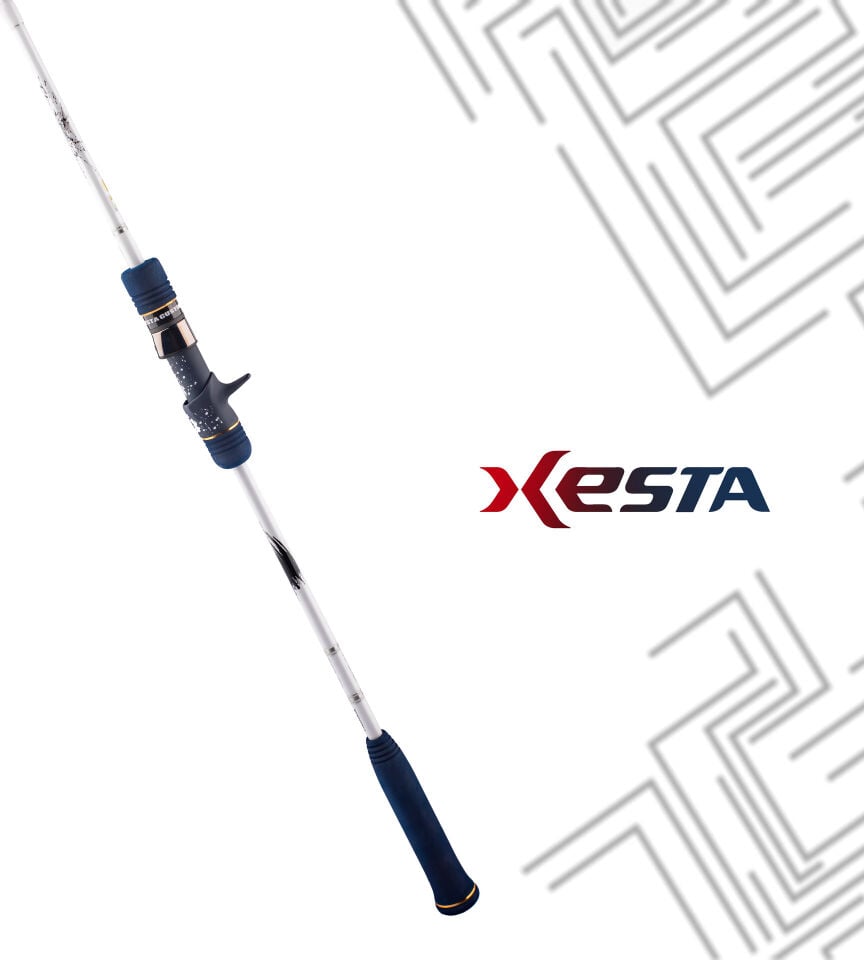 XESTA SLOW EMOTION POWER PITCH JERK B60-PPJ KAMIŞ 1.82M 150-500G