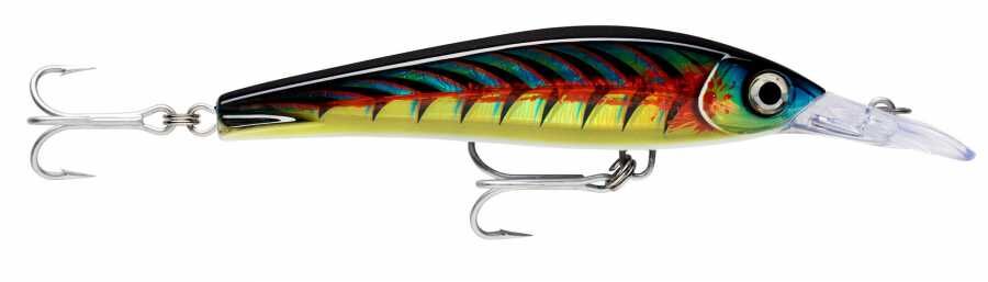 Rapala X-Rap Magnum Xtreme Sahte Balığı 160MM - HDLLU