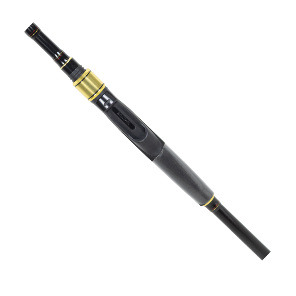 DAIWA RS 2,44M, 10-35GR, 2P KAMIŞ