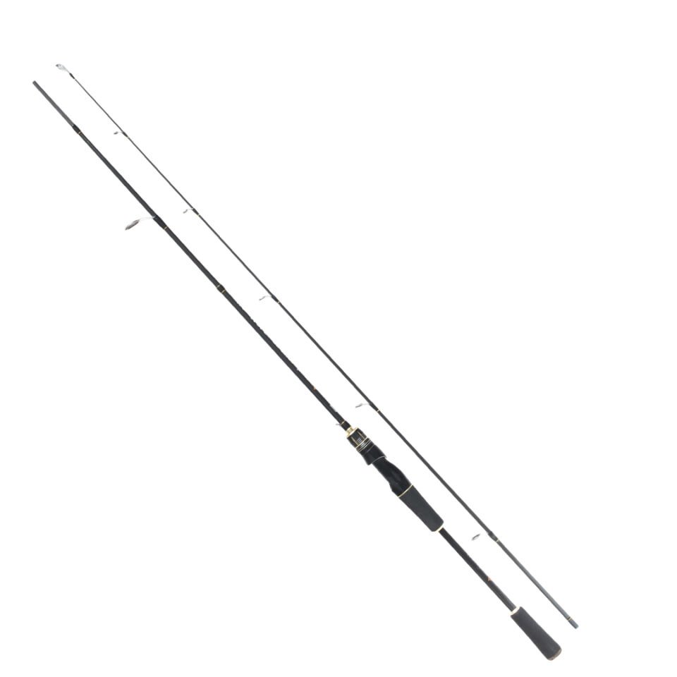 REMIXON FOCUS BG 2.70M 5-35GR 2P KAMIŞ