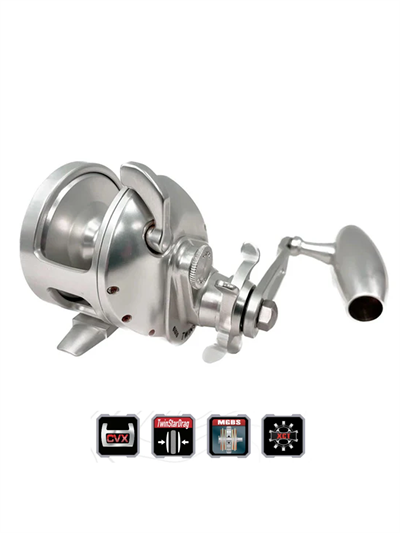 Accurate Tern 2 500 Narrow Lefty Star Drag Slow Pitch