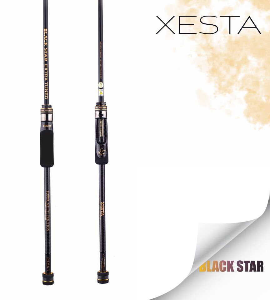 XESTA BLACKSTAR EXTRA TUNED S84MH-T KAMIŞ 2.55M 1.5-18G 2P