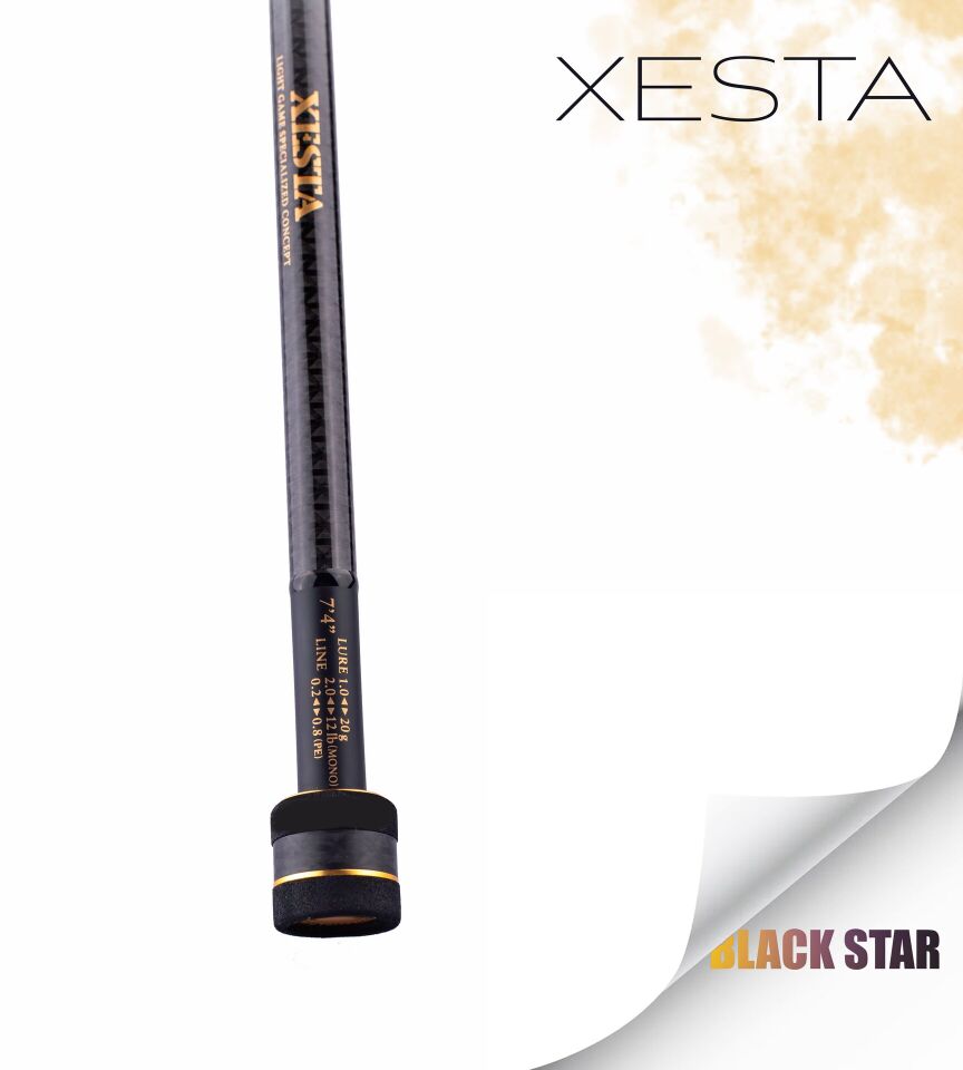 XESTA BLACKSTAR EXTRA TUNED S84MH-T KAMIŞ 2.55M 1.5-18G 2P