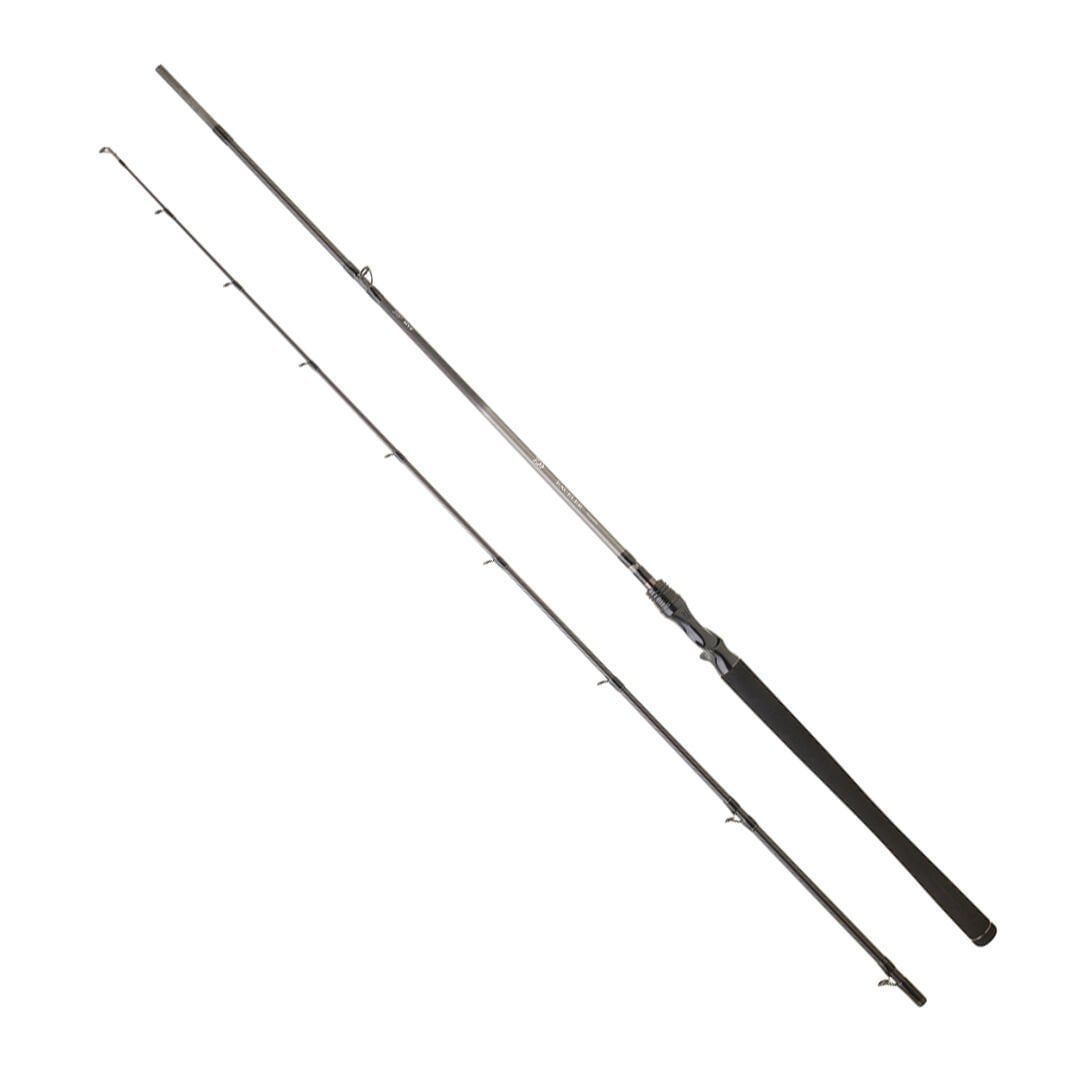 DAIWA EXCELER CASTING 1.96M, 5-21GR, 2P KAMIŞ