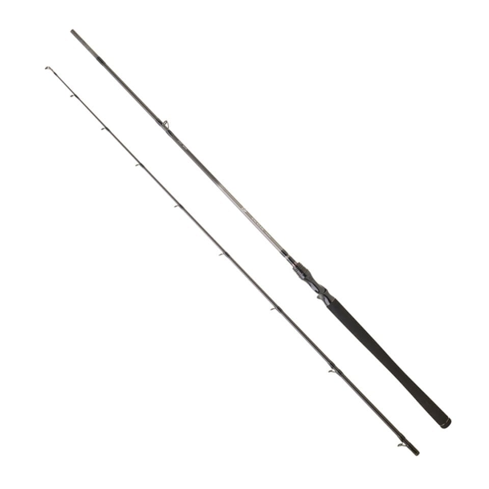 DAIWA EXCELER CASTING 1.96M, 5-21GR, 2P KAMIŞ