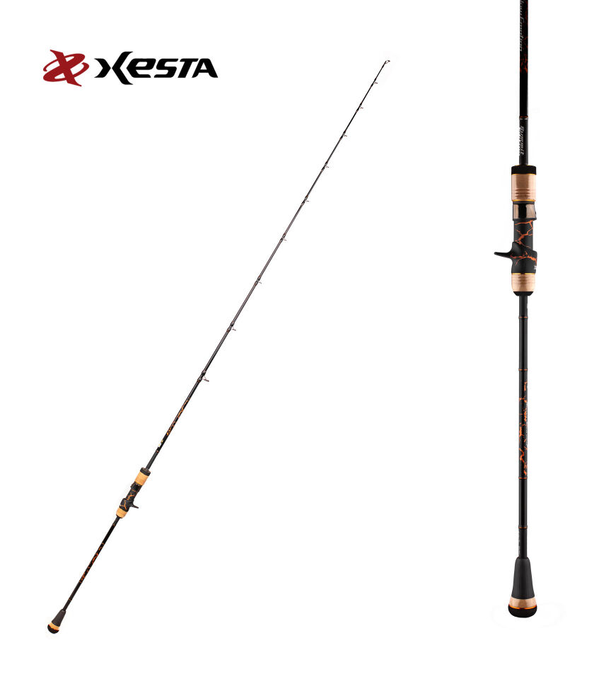 XESTA SLOW EMOTION SUMMIT EDITION B628 1.88M 300-800G