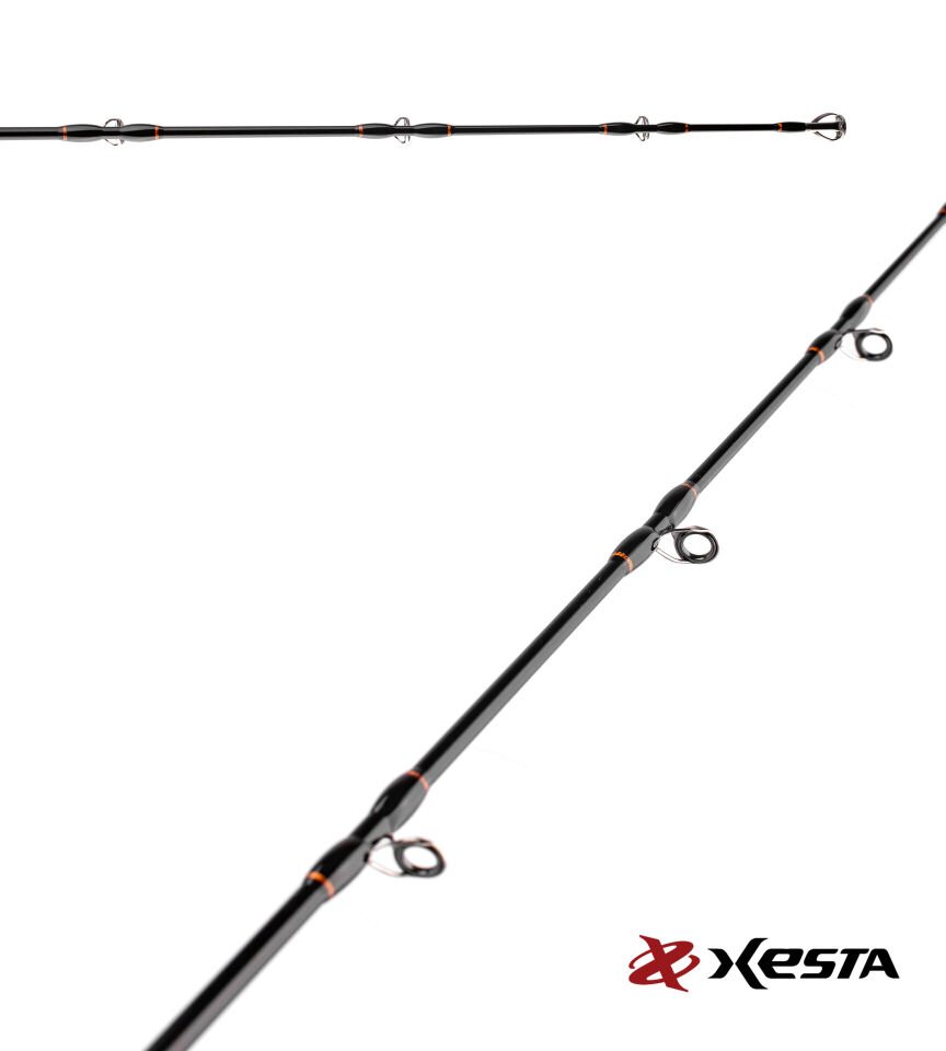 XESTA SLOW EMOTION SUMMIT EDITION B628 1.88M 300-800G