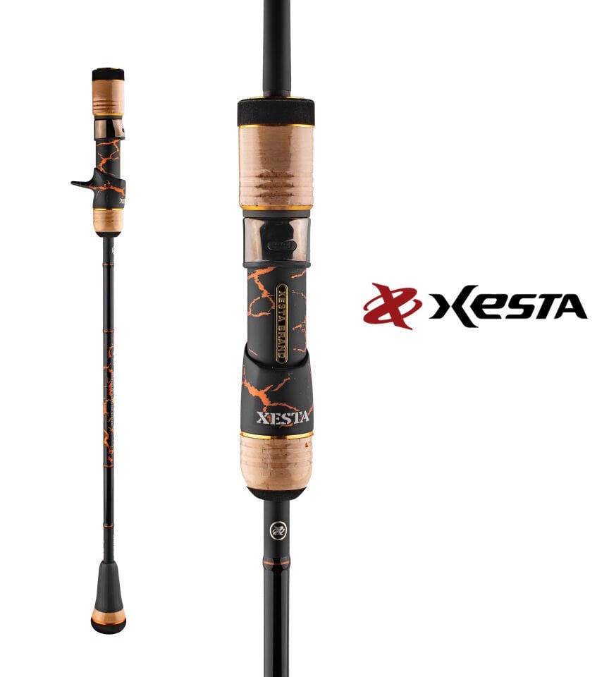 XESTA SLOW EMOTION SUMMIT EDITION B628 1.88M 300-800G
