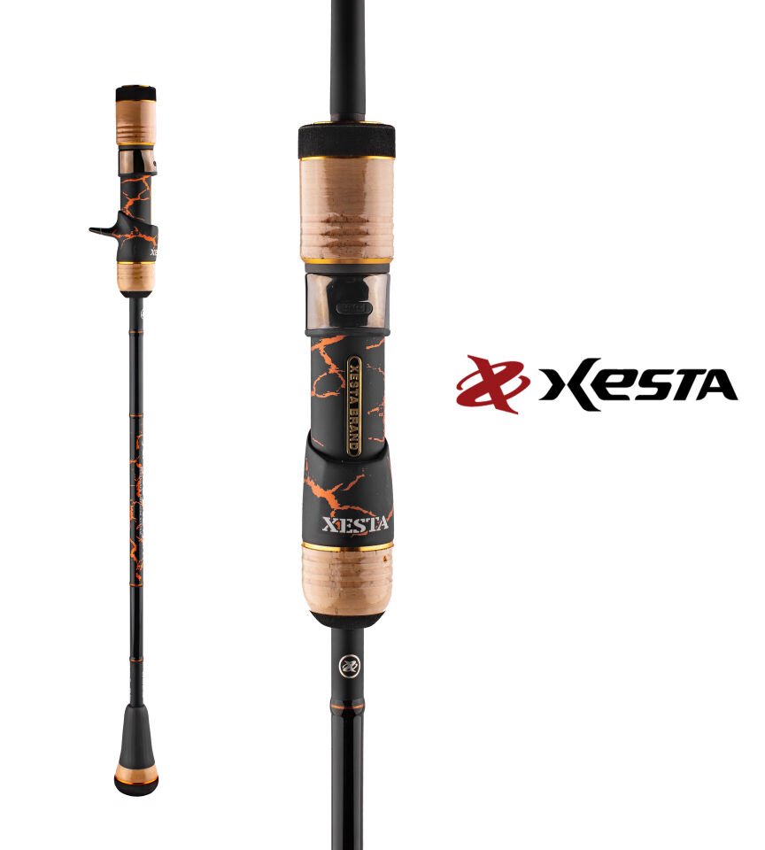 XESTA SLOW EMOTION SUMMIT EDITION B628 1.88M 300-800G